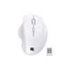 NEWWAY NM255 2.4GHz Wireless Mouse with Ergonomic USB Receiver, DPI