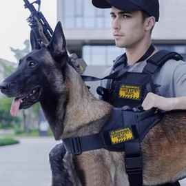 Funny Patches - Warning I Cause Safety Briefs, Embroidered Tactical Morale Patch for Backpack Dog Harnesses Army Vests Jackets Jeans Hats (Yellow)