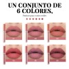 Set De 6 Labiales Handaiyan Lápiz Labial Color Rojo Mate