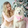 JarThenaAMCS 2Pcs Pink Christmas Dog Bandana Cute Xmas Tree Snowflake