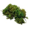 Netuno Decorative Moss Dark Green 30 g Natural Moss Reindeer