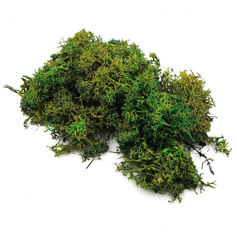 Netuno Decorative Moss Dark Green 30 g Natural Moss Reindeer