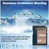 ByteFest SD Card 256GB UHS-I SDXC Memory Card - C10,