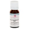 Rhus Toxicodendron D 30 Globules