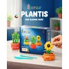 Hey Clay Plant Friends – Grande Set