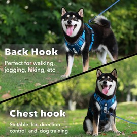 XINIDEA No Pull Dog Harness and Leash Set for Small Large Medium and Extra Large Dogs, Adjustable Breathable Oxford Material Outdoor Dog Vest, No Choke Design and Easily Control.(Blue, Large)
