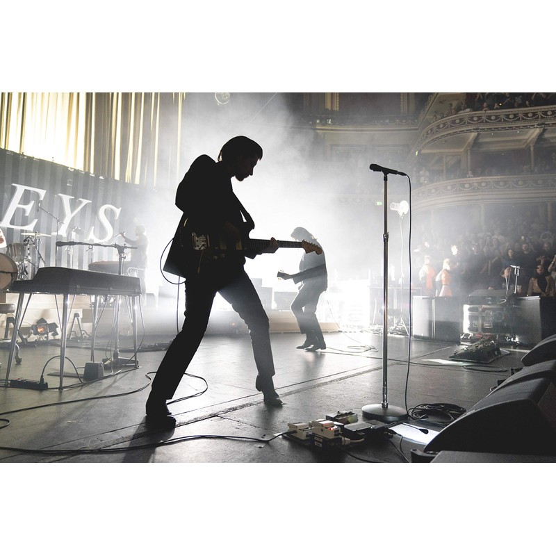Arctic Monkeys Live at the Royal Albert Hall
