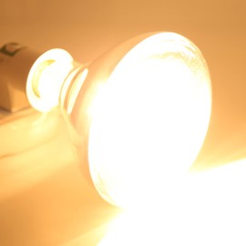 Zerodis Rearing Heating Lamp, 250 W Pet Heating Lamp with Adjustable Temperature, Infrared Rearing Insulated Lamp for Turtles, Aquariums, Aquatic Reptiles, Lizard Heat Lighting E26/E27