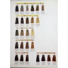Silky Tinte Silky Profesional 100 Ml Beige
