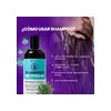 Filip Natural - Shampoo Thuja Y Árnica, Fortalece, 500ml