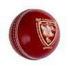 Gray-Nicolls Crest Elite Cricket Ball 4.75oz Red
