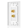 TNP 2 Pack Home Theater Speaker Wall Plate Outlet -