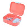 Pet Food Box Double Layer PP Toxic Free Prevent Leakage