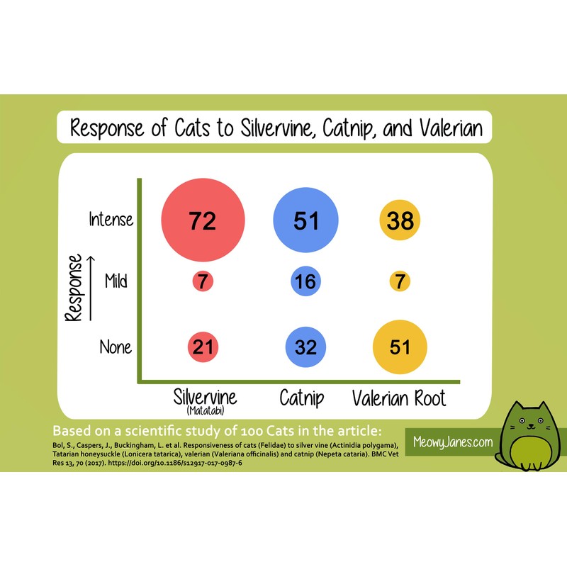 Meowy Janes Ultra Blend with Toy - All Natural Catnip,