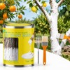 Singhoow Tree Whitewash Paint Tree Trunk Paint Kit, DIY Trees