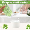 Giyochie Fresh Herb Saver Cilantro Storage Containers for Refrigerator, Transparent