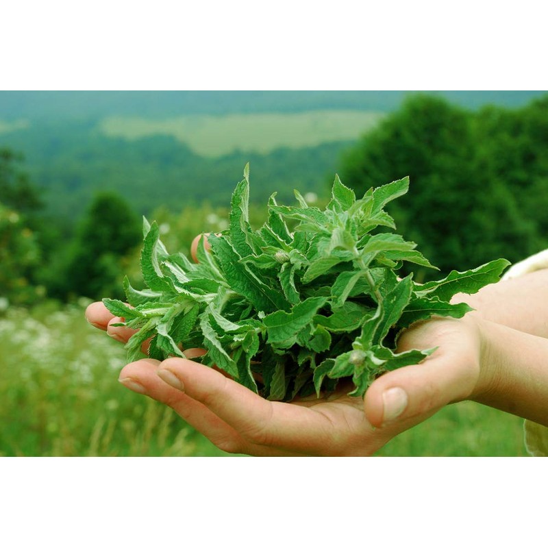 Armenian Herbal Tea 27 Bags 9 Flavors | Premium Mountain
