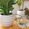 Blumat Water Dispenser for House Plants Six Items