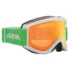 Alpina Smash 2.0 DH unisex adult ski goggles