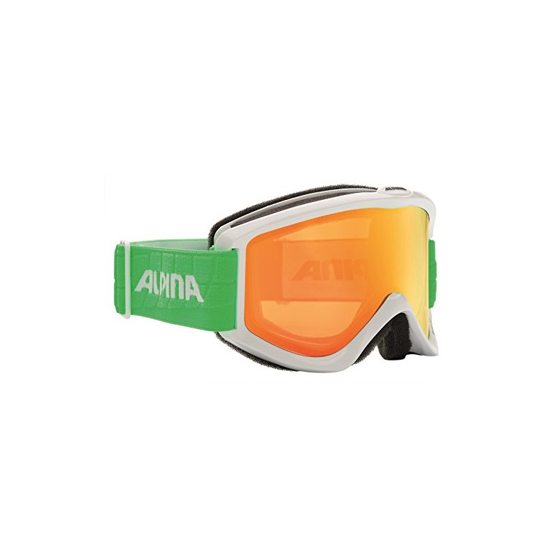 Alpina Smash 2.0 DH unisex adult ski goggles