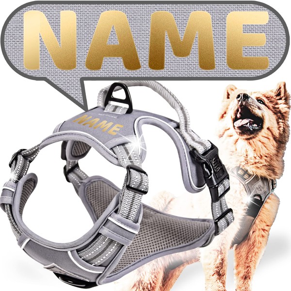 ne&no® Dog Harness Personalised with Matching Shock Absorber [Developed by