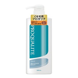 Procarite Straight Makeup Shampoo, Large, 20.3 fl oz (600 ml)