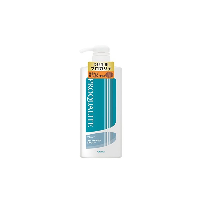 Procarite Straight Makeup Shampoo, Large, 20.3 fl oz (600 ml)