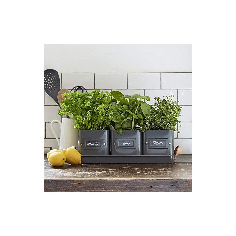Three Herb Pots in a Tray by Burgon & Ball