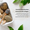 AATMANA Dead Sea Mud Face Pack | Skin Firming |