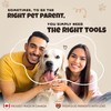 Slip into Dog Booties with One Hand | Fitting Tool