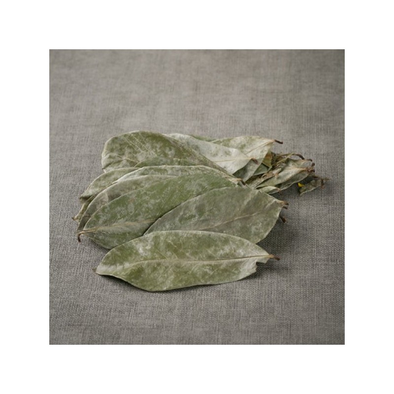 인도네시아 그라비올라 600g 건 건조 잎 차 Indonesian Graviola 600g