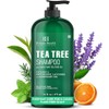 Botanic Hearth- Champú de árbol de té, vitamina C, aceite