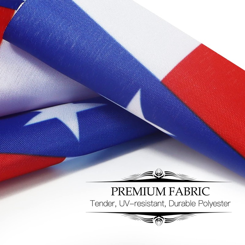 Anley Texas Deluxe Desk Flag Set - 6 x 4
