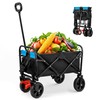 TREATLIFE HOME Mini Folding Wagon Garden Shopping Beach Cart with