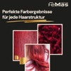 FemMas Haarfarbe 3x Dunkelblond Mahagoni Amber 6.58 I Professionelle Creme