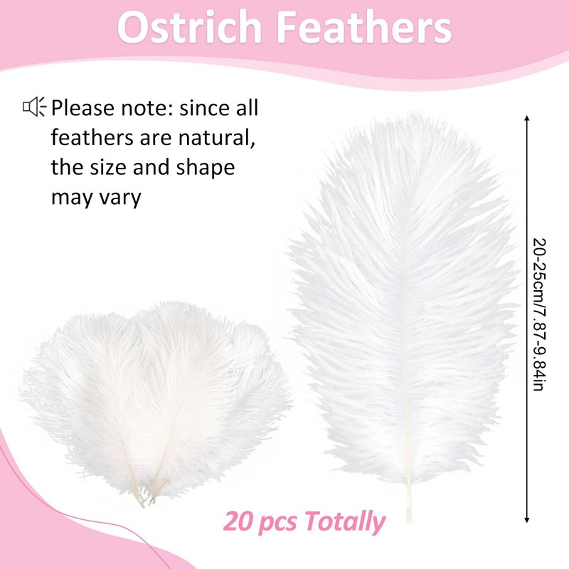 20 pcs Ostrich Feathers, Natural Feathers Plume, 8-10 Inch Craft