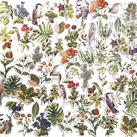 60pcs Scrapbook Stickers, Doraking DIY Decorative Spring Bird Flower Stickers for Envelope, Scrapbook, Luggage, Windows (Bird and Flower, 60PCS/Pack)