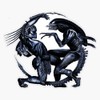 Alien Vs Predator Vinyl Window Bumper Sticker Decal 5"