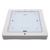 Riloer 12V 9W Interior LED Roof Light Ceiling Light Spot