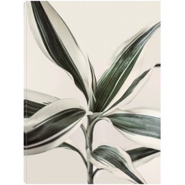 Fine Art Canvas Foliage Canvas Wall Decor by Artist Sisi & Seb for Living Room, Bedroom, Bathroom, Kitchen, Office, Bar, Dining & Guest Room - Ready to Hang - 32 in x 43 in