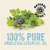 Natural Planet Eucalyptus Essential Oil 15ML Natural 100% Pure &