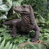 Vivid Arts - Komodo Dragon - PP-KOMO-F