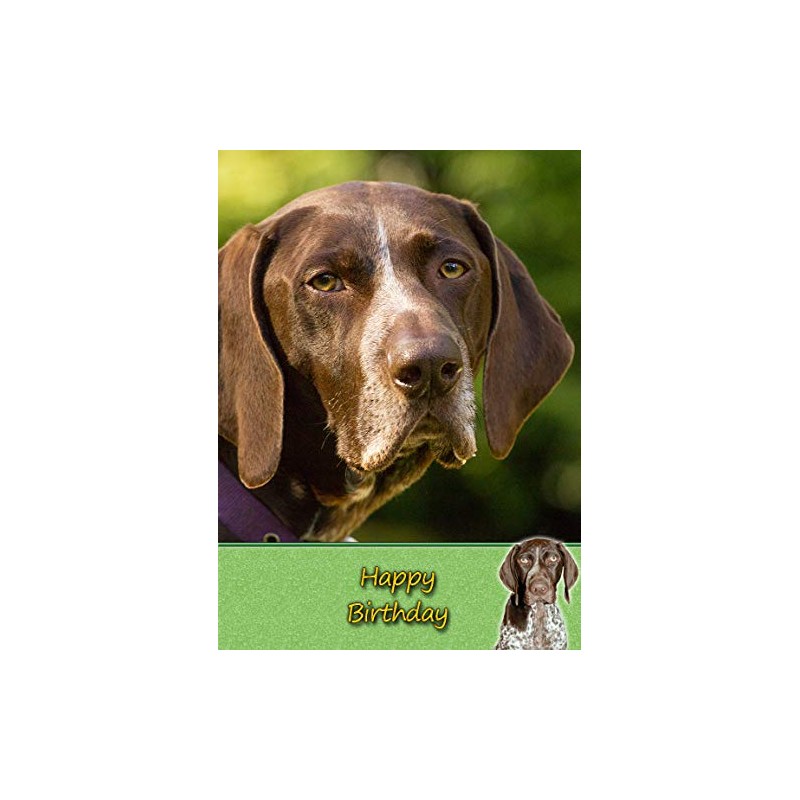 German Short Haired Pointer Birthday Card