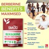 SMUG Supplements Berberine HLC British Made 98% Pure by SMUG