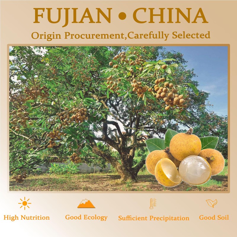 Dried Longan 5.3Oz/150g, Longan Fruit Seedless,100% Natural, No Sugar Added