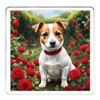 Jack Russell Dog Coaster Set. 4 different Jack Russell Terrier
