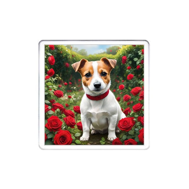 Jack Russell Dog Coaster Set. 4 different Jack Russell Terrier