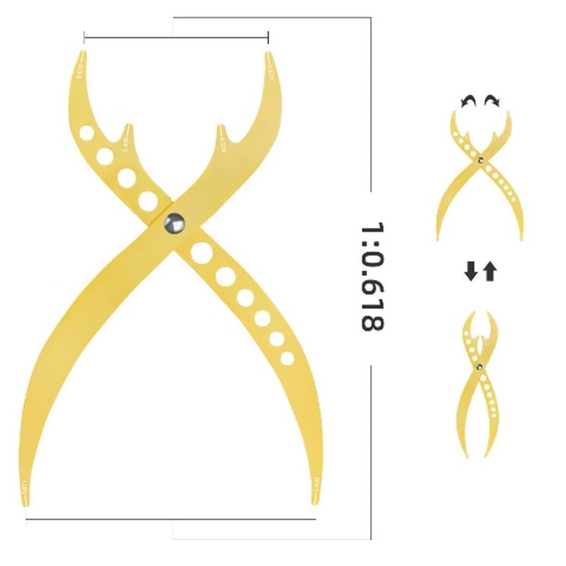 HOTWE Eyebrow Golden Ratio Ruler, 1:0.618 Makeup Measurement Tool,Eyebrow Marking