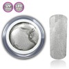 Colour Gel Silver Metallic UV Gel LED Nail Gel Studio