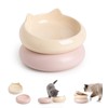 Ceramic Raised Cat Bowl, 2 in 1 Elevated Cat Food